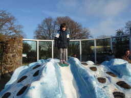 Max at the Iceberg playground at the Ouwehands Dierenpark zoo