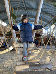 Max on a rope bridge at the RavotAapia building at the Ouwehands Dierenpark zoo