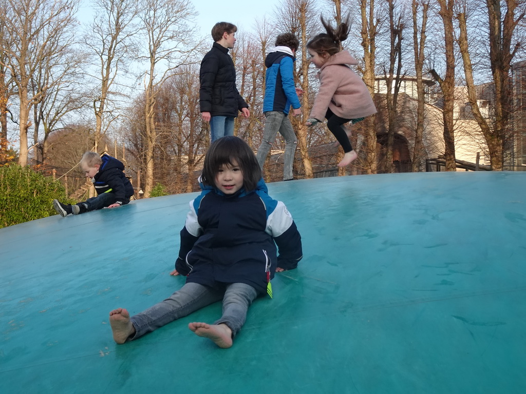 Max on the trampoline at the Ouwehands Dierenpark zoo