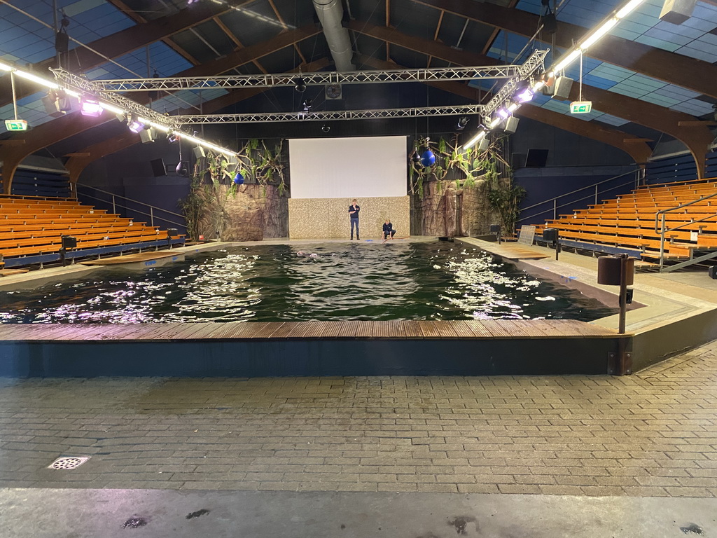 Zookeepers training California Sea Lions at the Blue Lagoon Theatre at the Ouwehands Dierenpark zoo