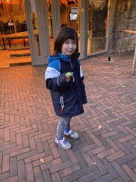 Max with a toy in front of the Pássaro restaurant at the Ouwehands Dierenpark zoo, at sunset