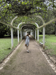 riodejaneiro_1369 - 515 kb - 768x1024 -