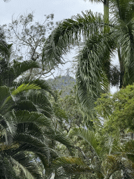 riodejaneiro_1370 - 537 kb - 768x1024 -