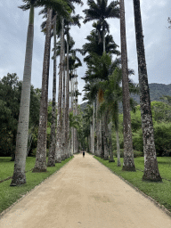 riodejaneiro_1371 - 383 kb - 768x1024 -
