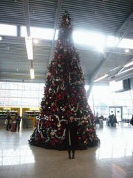 Miaomiao at the christmas tree in Eindhoven Airport