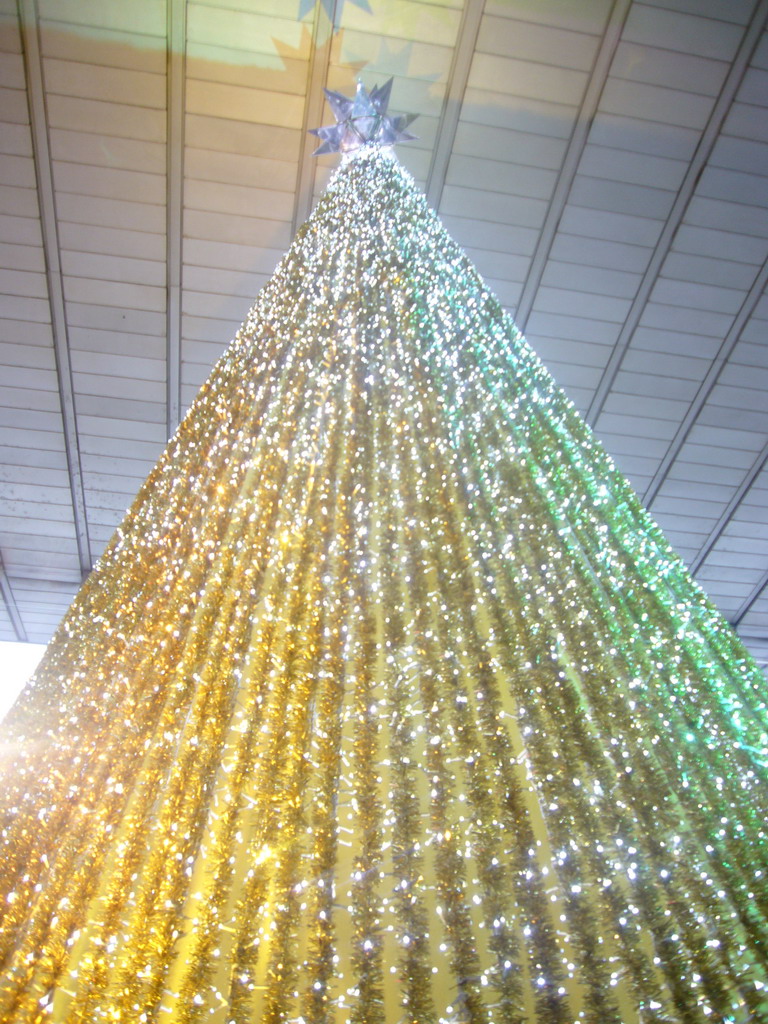 Christmas tree in the Roma Termini railway station