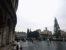 Miaomiao at the Colosseum and the Temple of Venus and Roma at the Forum Romanum