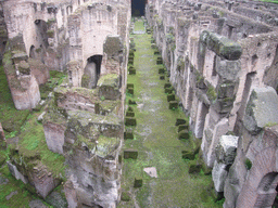 The Hypogeum (catacombs) of the Colosseum