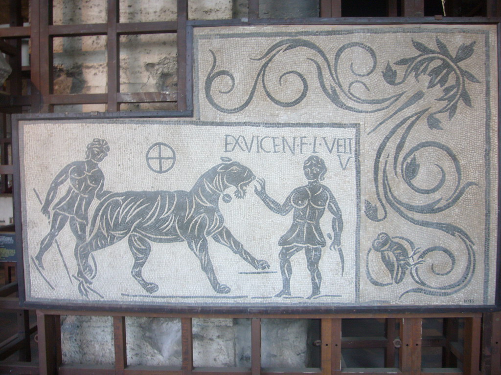 Mosaics, in the museum at level 1 of the Colosseum