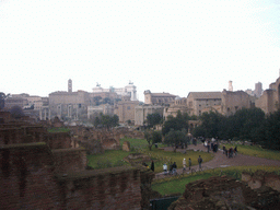 The Forum Romanum, the Capitoline Hill and the Monument to Vittorio Emanuele II, from the northern slope of the Palatine Hill