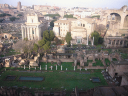 View on the Forum Romanum from the Palatine Hill