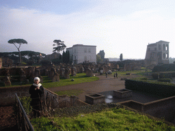 Miaomiao at the Palatine Hill, with the Antiquarium of the Palatine