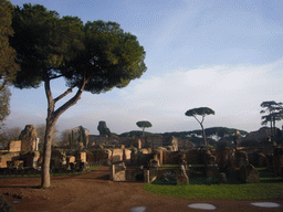 Ruins at the Palatine Hill