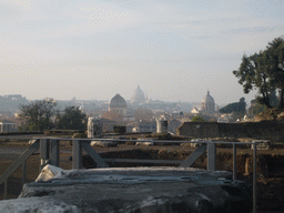 View on St. Peter`s Basilica and other churches from the Palatine Hill