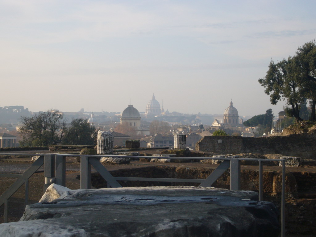 View on St. Peter`s Basilica and other churches from the Palatine Hill
