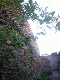Wall at the Palatine Hill