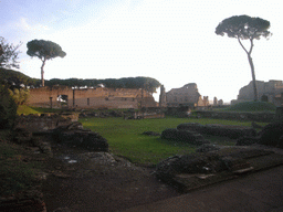 Ruins at the Palatine Hill