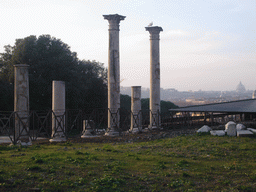 Pillars at the Palatine Hill