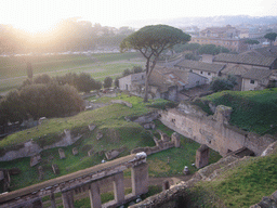 The Paedigogium at the Palatine Hill, and the Circus Maximus