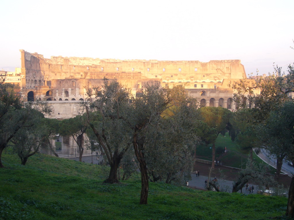 The Colosseum, viewed from the Palatine Hill