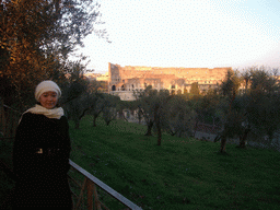 Miaomiao and the Colosseum, viewed from the Palatine Hill