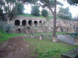East side of the Palatine Hill