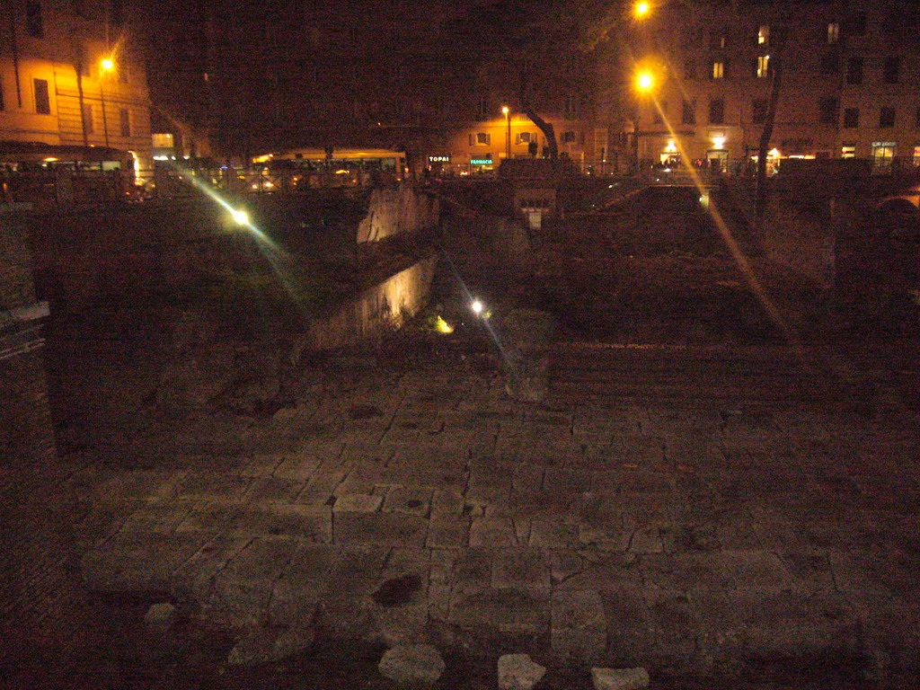 The Largo di Torre Argentina, by night