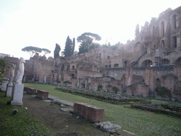 The House of the Vestal Virgins at the Forum Romanum, and the Palatine Hill