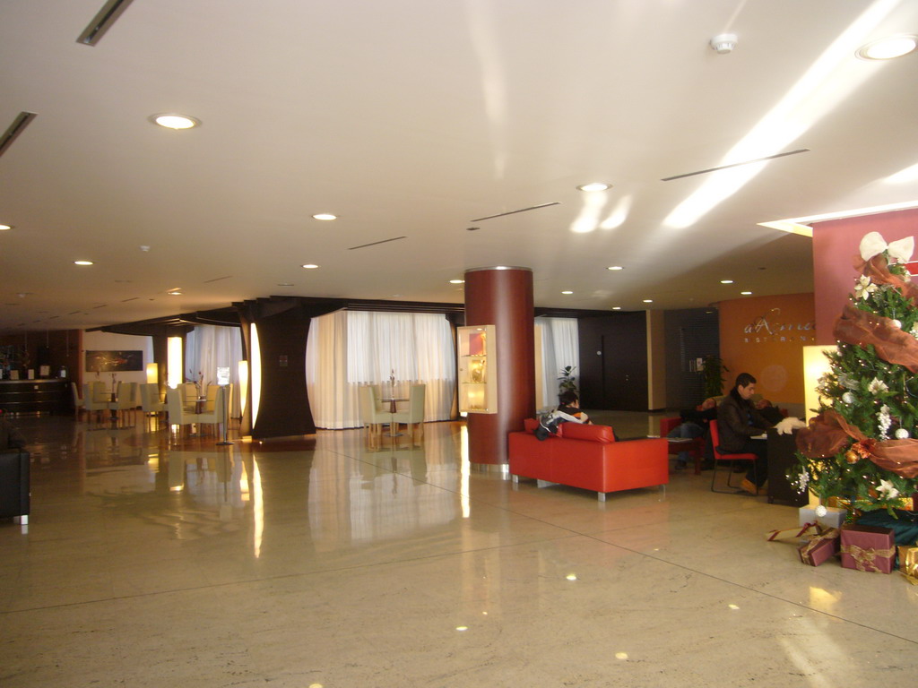 The lobby of our hotel `Domina Hotel & Conference Capannelle`