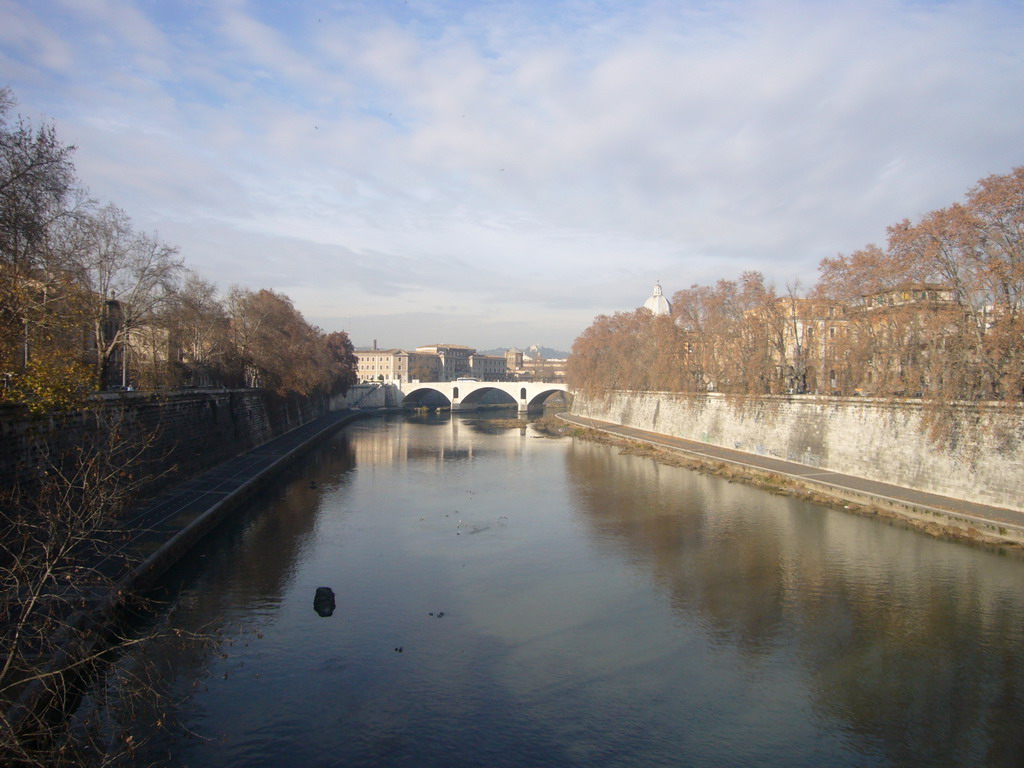 The Tiber river and the Ponte Principe Amedeo bridge