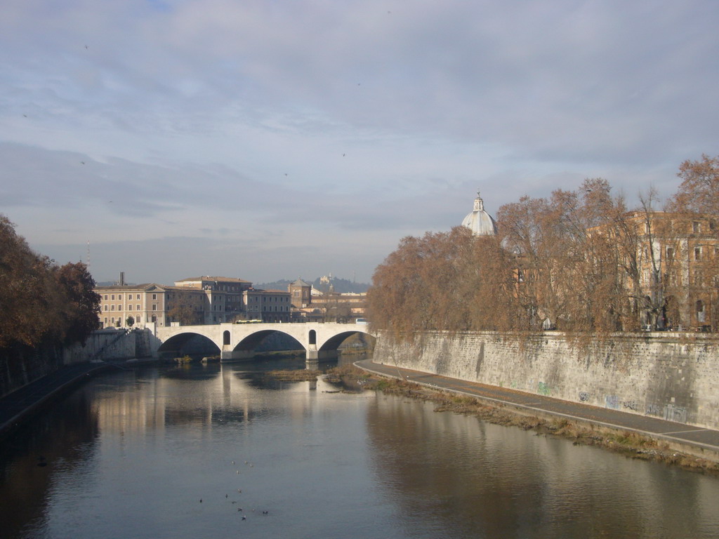 The Tiber river and the Ponte Principe Amedeo bridge