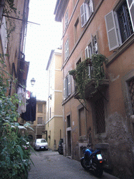 Street in the Trastevere neighborhood