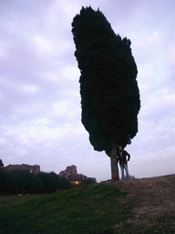 Tim with a tree at Circus Maximus, and the Domus Severiana at the Palatine Hill