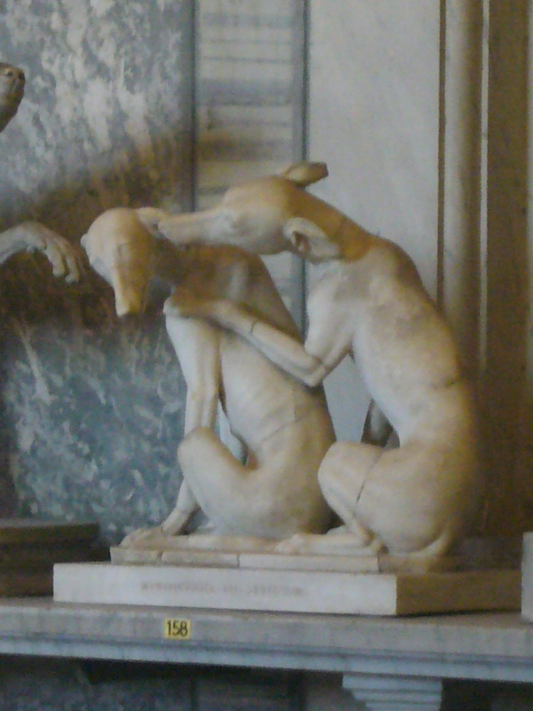 Statue of two dogs in the Museo Pio-Clementino at the Vatican Museums