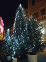 Christmas trees near the Via dei Condotti
