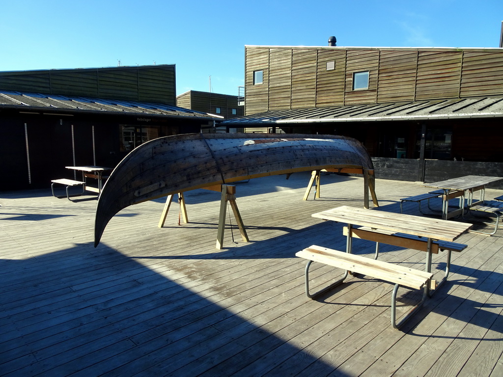 Viking ship in front of Café Knarr at the Museum Island of the Viking Ship Museum