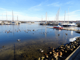 Boats in the Roskilde Harbour