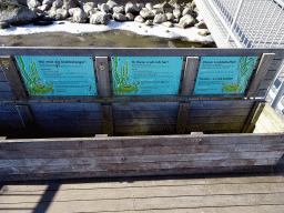 Information on the crab catching in the Roskilde Oplevelseshavn Harbour