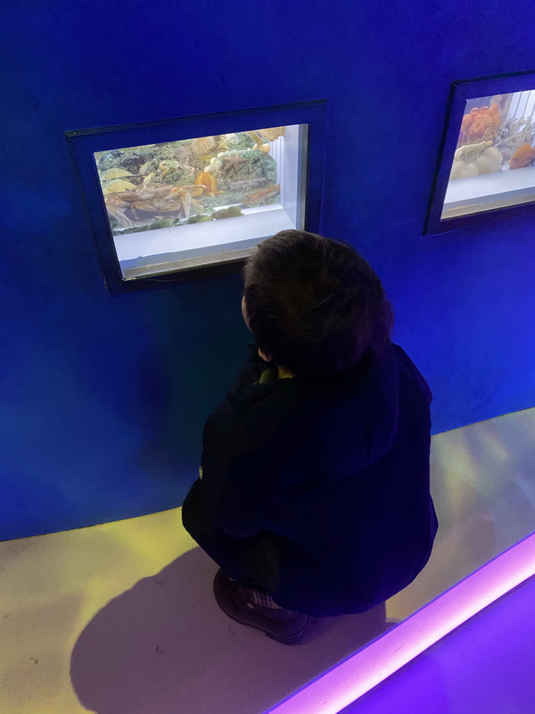 Max at the exhibition about the underwater world at the Oceanium at the Diergaarde Blijdorp zoo