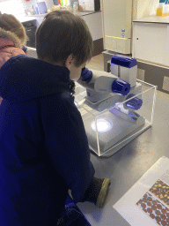 Max looking through a microscope at the Laboratory at the Oceanium at the Diergaarde Blijdorp zoo