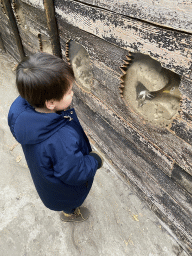 Max looking at turtle statues at the Oceanium at the Diergaarde Blijdorp zoo