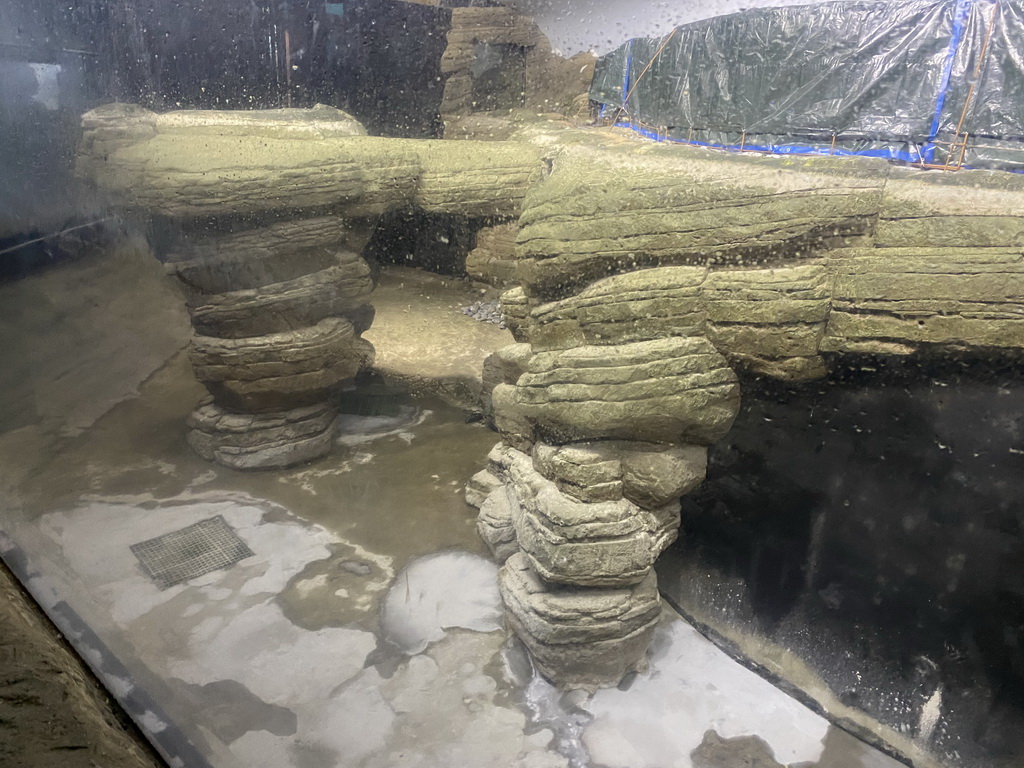 Interior of the Penguin enclosure at the Falklands section at the Oceanium at the Diergaarde Blijdorp zoo, under renovation