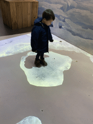 Max with projected ice floes at the Falklands section at the Oceanium at the Diergaarde Blijdorp zoo
