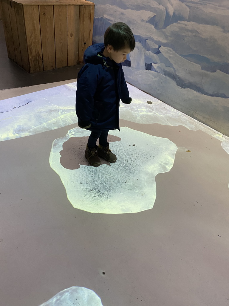 Max with projected ice floes at the Falklands section at the Oceanium at the Diergaarde Blijdorp zoo