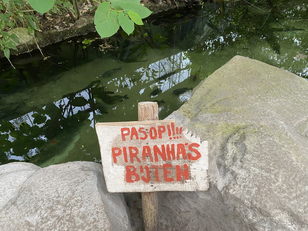 Piranhas at the Amazonica building at the South America area at the Diergaarde Blijdorp zoo, with warning sign