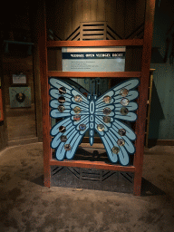 Butterfly game at the Amazonica building at the South America area at the Diergaarde Blijdorp zoo