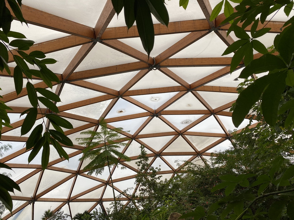 Ceiling of the Amazonica building at the South America area at the Diergaarde Blijdorp zoo