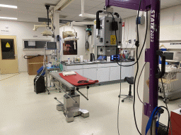 Interior of the Operation Room at the Africa area at the Diergaarde Blijdorp zoo