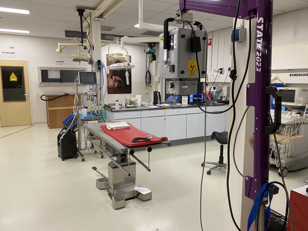 Interior of the Operation Room at the Africa area at the Diergaarde Blijdorp zoo