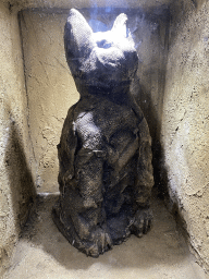 Mummified cat at the Egyptian house at the Biotopia playground in the Rivièrahal building at the Africa area at the Diergaarde Blijdorp zoo